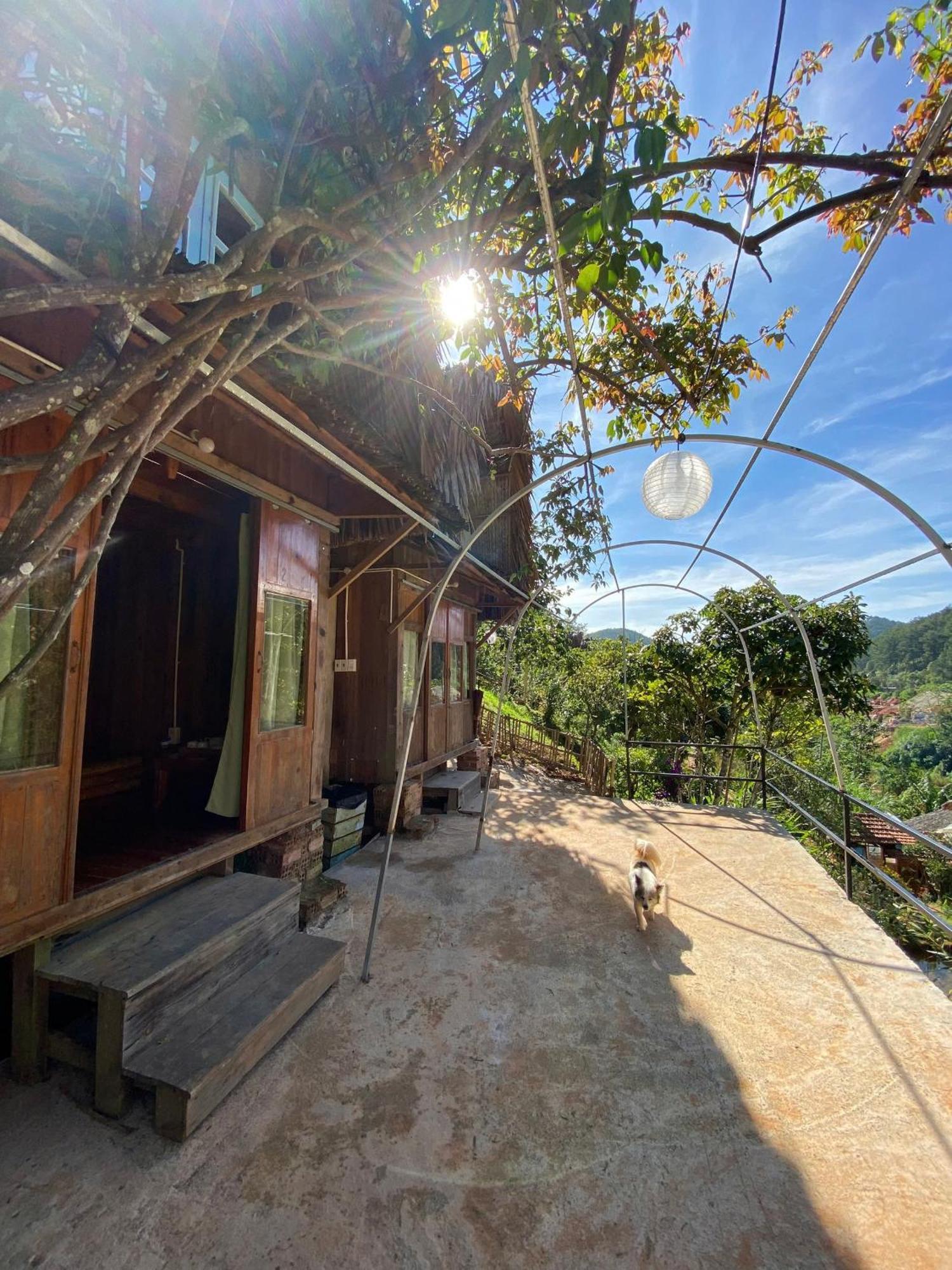 Vuon Nha Cui Homestay Da Lat Eksteriør billede