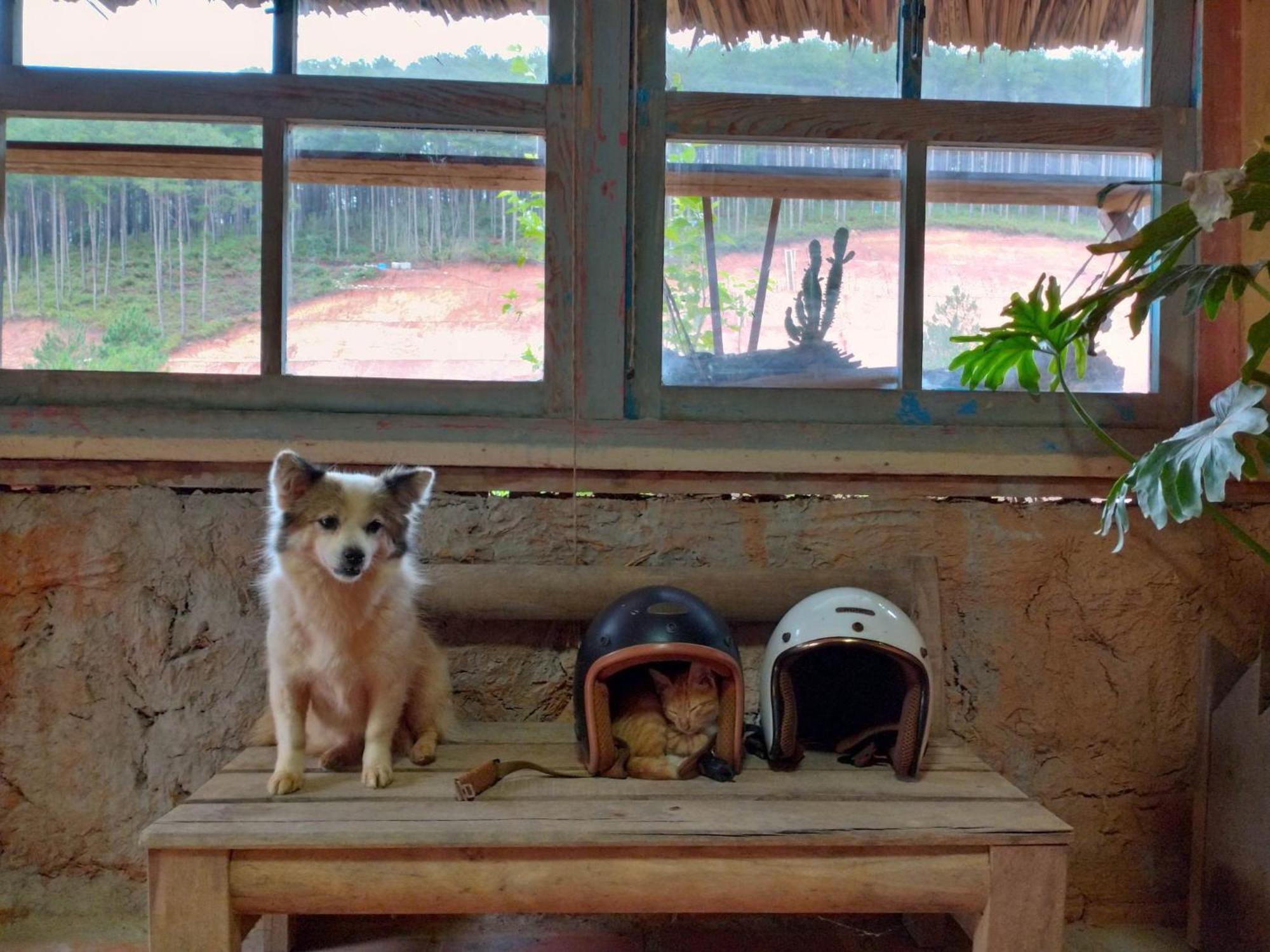 Vuon Nha Cui Homestay Da Lat Eksteriør billede