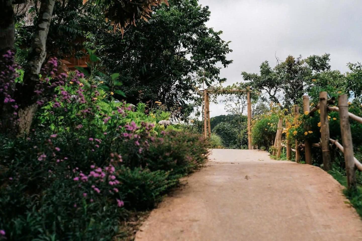 Vuon Nha Cui Homestay Da Lat Eksteriør billede