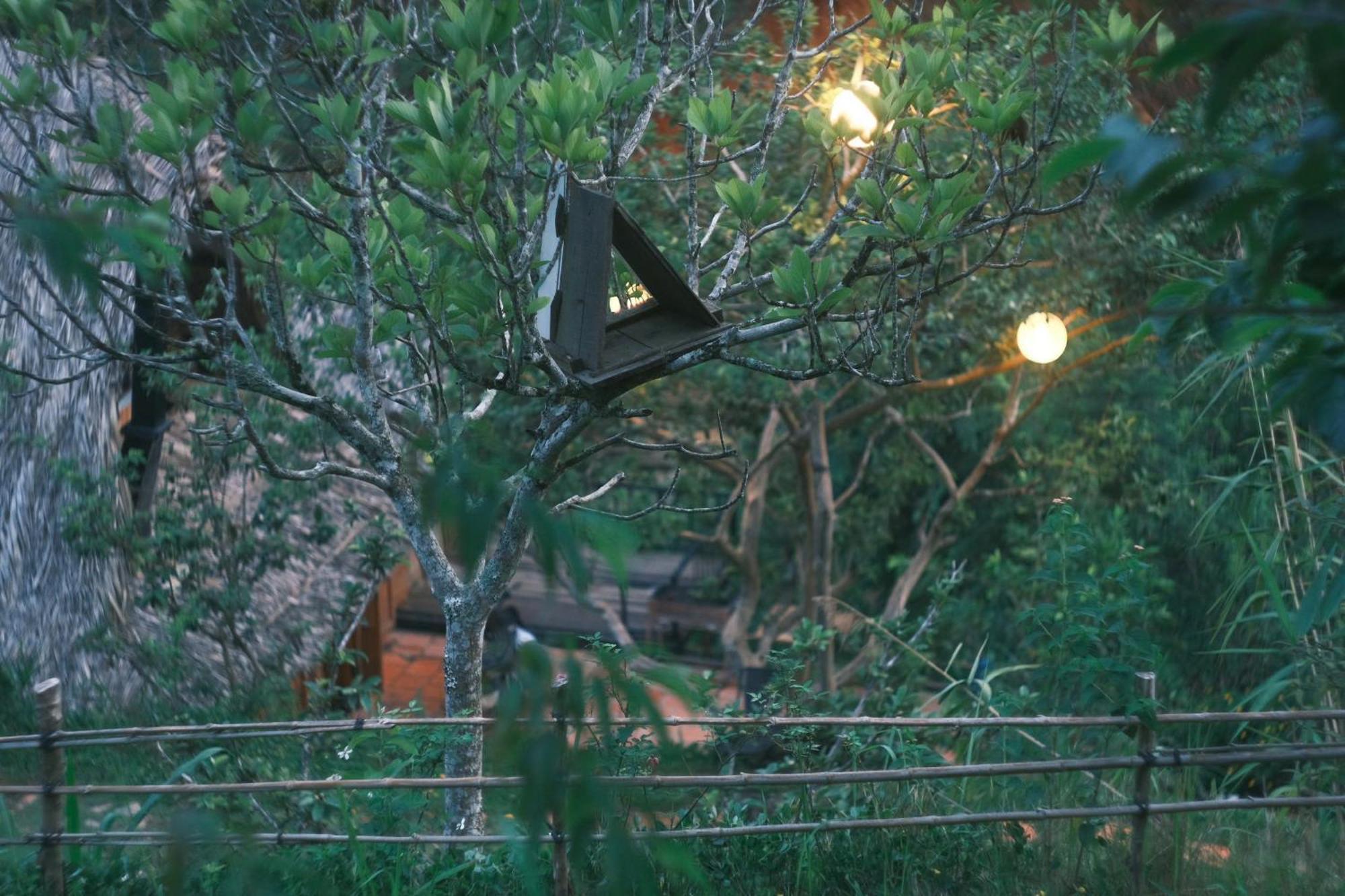 Vuon Nha Cui Homestay Da Lat Eksteriør billede